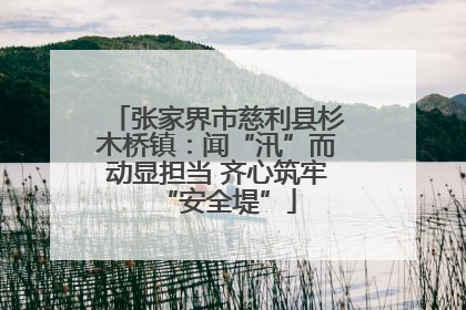 张家界市慈利县杉木桥镇：闻“汛”而动显担当 齐心筑牢“安全堤”