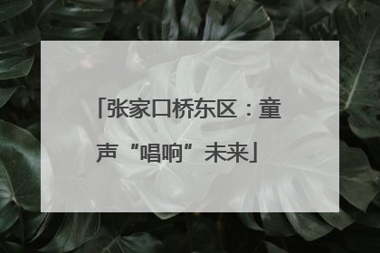 张家口桥东区：童声“唱响”未来