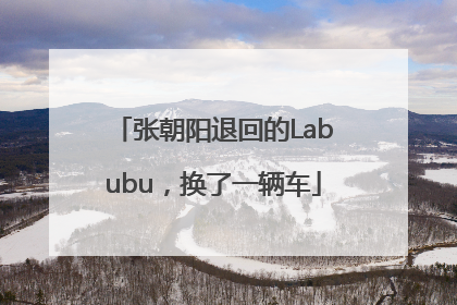 张朝阳退回的Labubu，换了一辆车