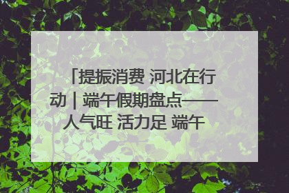 提振消费 河北在行动｜端午假期盘点——人气旺 活力足 端午经济“热浪”迭起