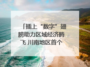 插上“数字”翅膀助力区域经济腾飞 川南地区首个智算中心启动