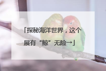 探秘海洋世界，这个展有“鲸”无险→
