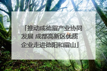 推动成德眉产业协同发展 成都高新区优质企业走进德阳和眉山