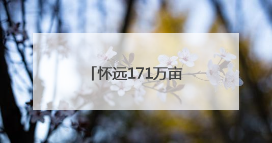 怀远171万亩小麦开镰收割