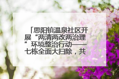 思阳镇温泉社区开展“两清两改两治理”环境整治行动——七栋全面大扫除，共建洁净家园