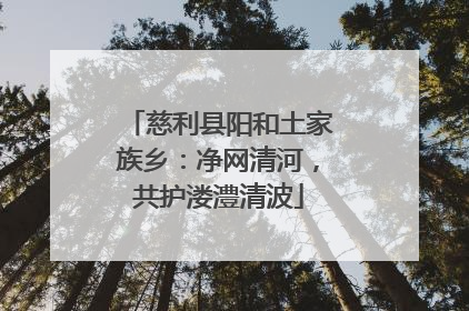 慈利县阳和土家族乡：净网清河，共护溇澧清波