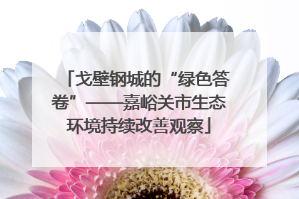 戈壁钢城的“绿色答卷”——嘉峪关市生态环境持续改善观察