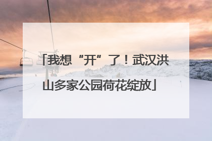 我想“开”了！武汉洪山多家公园荷花绽放