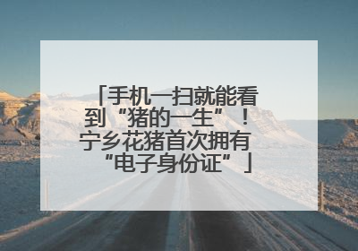 手机一扫就能看到“猪的一生”！宁乡花猪首次拥有“电子身份证”
