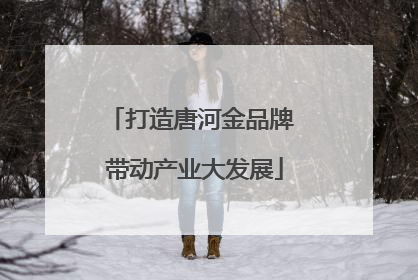 打造唐河金品牌 带动产业大发展