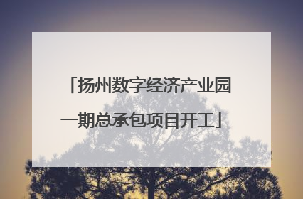 扬州数字经济产业园一期总承包项目开工