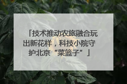 技术推动农旅融合玩出新花样，科技小院守护北京“菜篮子”