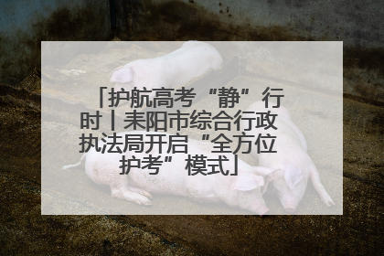 护航高考“静”行时丨耒阳市综合行政执法局开启“全方位护考”模式