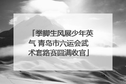 拳脚生风展少年英气 青岛市六运会武术套路赛圆满收官