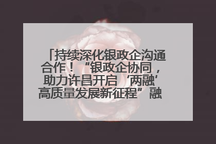 持续深化银政企沟通合作！“银政企协同，助力许昌开启‘两融’高质量发展新征程”融资对接会举行