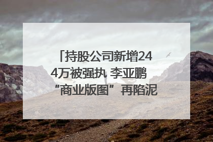 持股公司新增244万被强执 李亚鹏“商业版图”再陷泥潭？｜科技观察