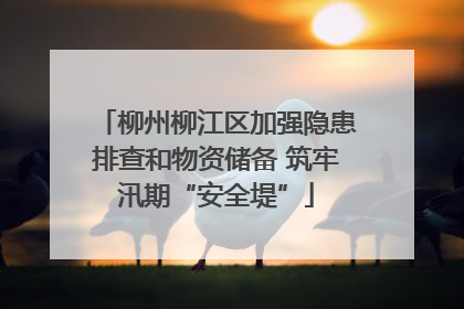 柳州柳江区加强隐患排查和物资储备 筑牢汛期“安全堤”