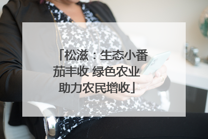 松滋：生态小番茄丰收 绿色农业助力农民增收