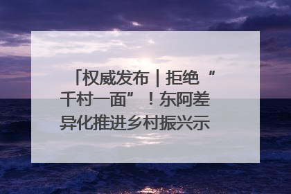 权威发布｜拒绝“千村一面”！东阿差异化推进乡村振兴示范片区建设