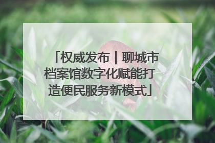 权威发布｜聊城市档案馆数字化赋能打造便民服务新模式
