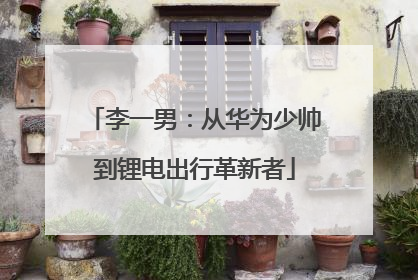 李一男：从华为少帅到锂电出行革新者