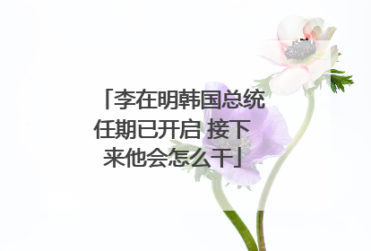 李在明韩国总统任期已开启 接下来他会怎么干