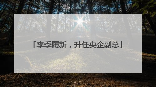 李季履新，升任央企副总