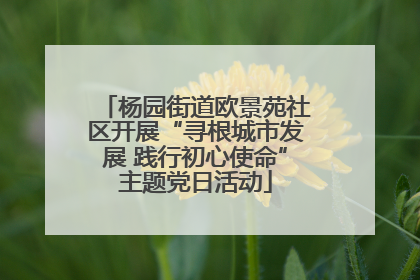 杨园街道欧景苑社区开展“寻根城市发展 践行初心使命”主题党日活动
