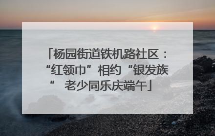 杨园街道铁机路社区：“红领巾”相约“银发族” 老少同乐庆端午