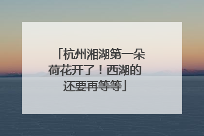 杭州湘湖第一朵荷花开了！西湖的还要再等等