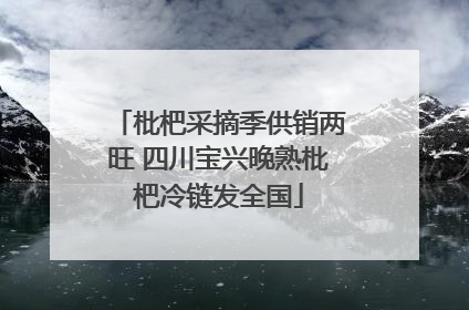 枇杷采摘季供销两旺 四川宝兴晚熟枇杷冷链发全国