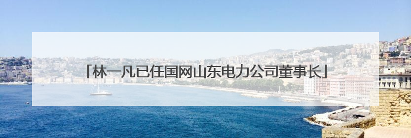 林一凡已任国网山东电力公司董事长