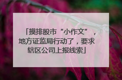 摸排股市“小作文”，地方证监局行动了，要求辖区公司上报线索