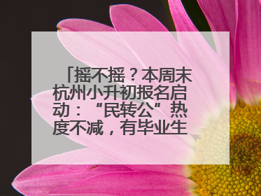 摇不摇？本周末杭州小升初报名启动：“民转公”热度不减，有毕业生家长这样谈“择校真相”……