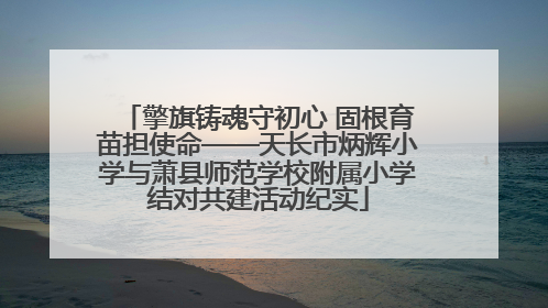 擎旗铸魂守初心 固根育苗担使命——天长市炳辉小学与萧县师范学校附属小学结对共建活动纪实