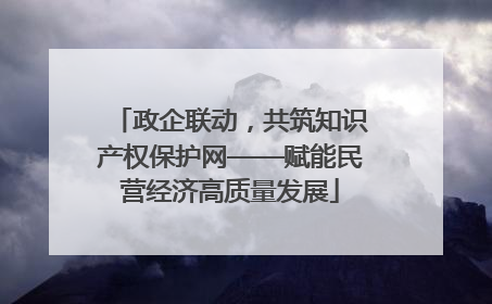 政企联动，共筑知识产权保护网——赋能民营经济高质量发展