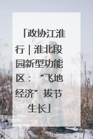 政协江淮行｜淮北段园新型功能区：“飞地经济”拔节生长