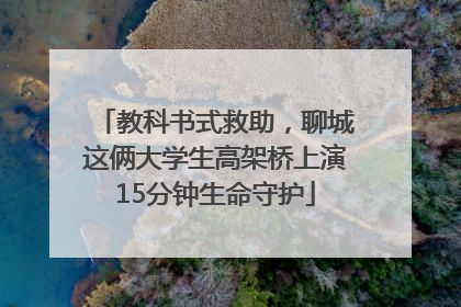 教科书式救助，聊城这俩大学生高架桥上演15分钟生命守护