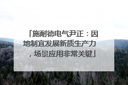 施耐德电气尹正：因地制宜发展新质生产力，场景应用非常关键