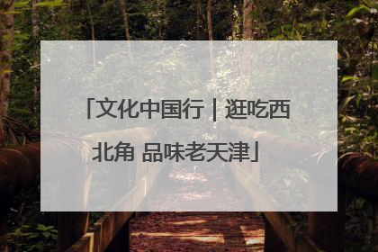 文化中国行｜逛吃西北角 品味老天津