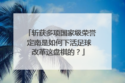 斩获多项国家级荣誉 定南是如何下活足球改革这盘棋的？