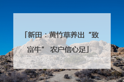 新田：黄竹草养出“致富牛” 农户信心足