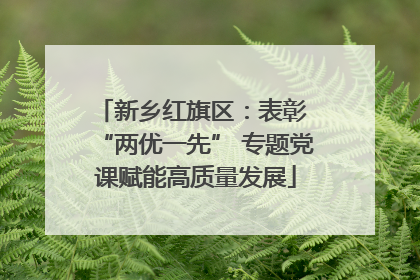 新乡红旗区：表彰 “两优一先” 专题党课赋能高质量发展