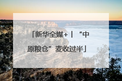 新华全媒+丨“中原粮仓”麦收过半