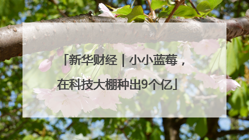 新华财经｜小小蓝莓，在科技大棚种出9个亿