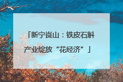 新宁崀山：铁皮石斛产业绽放“花经济”