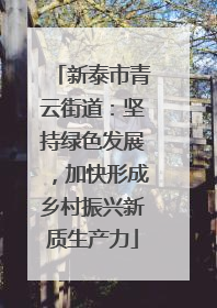 新泰市青云街道：坚持绿色发展，加快形成乡村振兴新质生产力