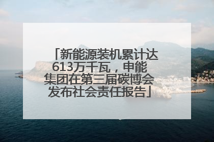 新能源装机累计达613万千瓦，申能集团在第三届碳博会发布社会责任报告