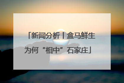 新闻分析丨盒马鲜生为何“相中”石家庄
