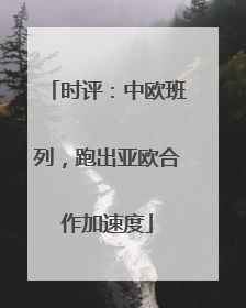 时评：中欧班列，跑出亚欧合作加速度